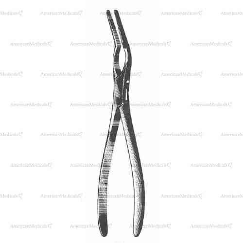 asch septum forceps - straight, 23 cm (9 1/8")