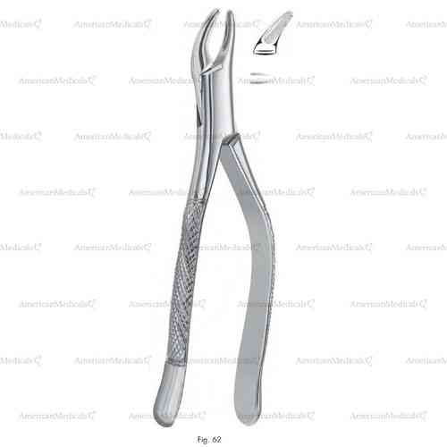 extracting forceps, american pattern - figure 62