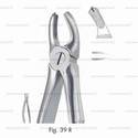 extracting forceps for children, figure 39r - english pattern