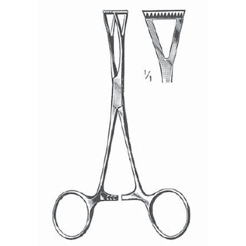 collin hemostatic forceps triangular