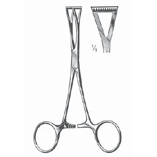 collin hemostatic forceps triangular