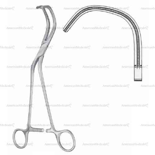 liddle vascular clamp - 27 cm (10 5/8")
