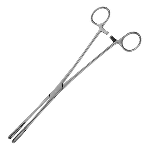 Rampley Sponge Holding Forceps with Ratchet - American Medicals