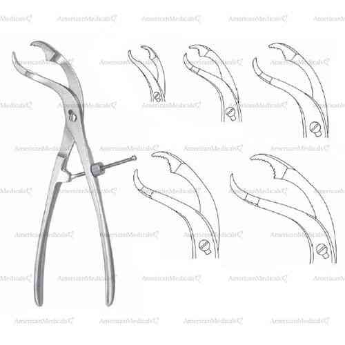 self-centering bone holding forceps, curved