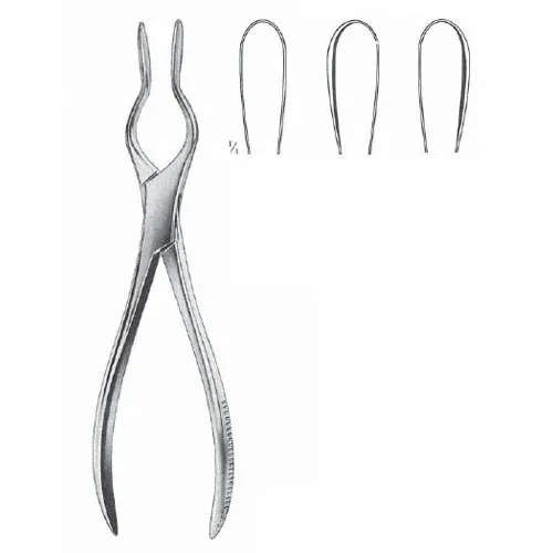 walsham septum forceps - 23 cm (9 1/8")