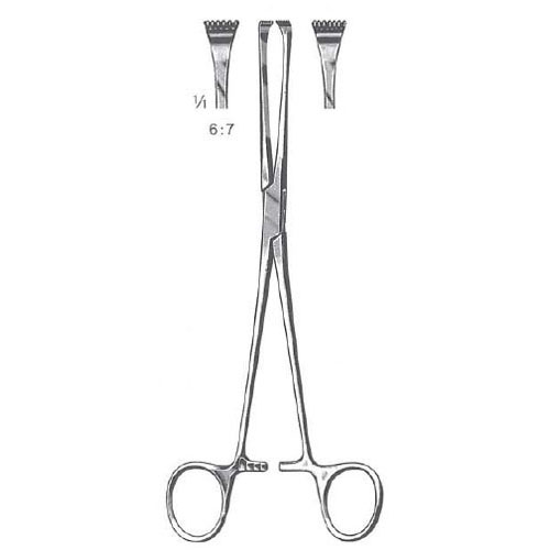 thomas-allis tissue forceps - 6 x 7 Teeth - 20 cm (8")