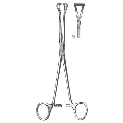 babcock tissue forceps