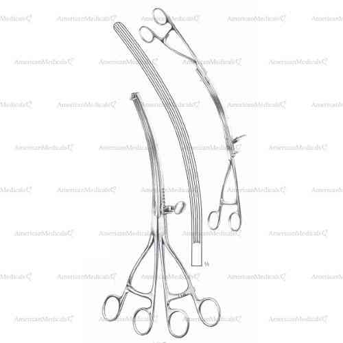 lane stomach clamp - 30 cm (11 7/8"), curved