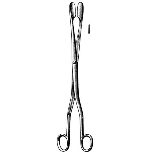 winter placenta and ovum forceps - 28 cm (11")