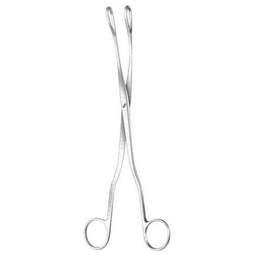 mcclintock ovum forceps - 24 cm (9 3/8")