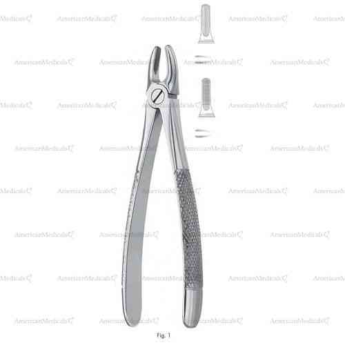 extracting forceps, figure 1 - english pattern