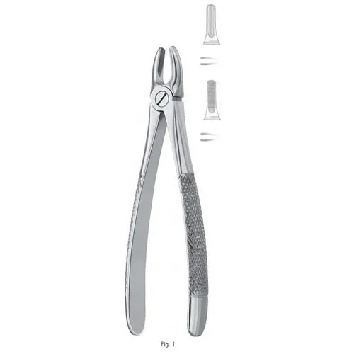 extracting forceps, figure 1 - english pattern
