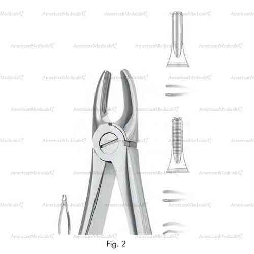 extracting forceps, figure 2 - english pattern
