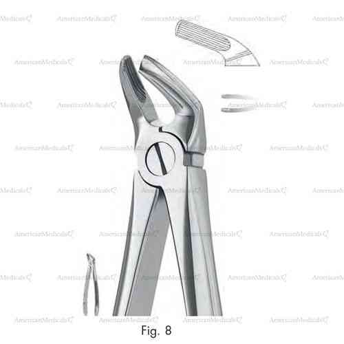 extracting forceps, figure 8 - english pattern