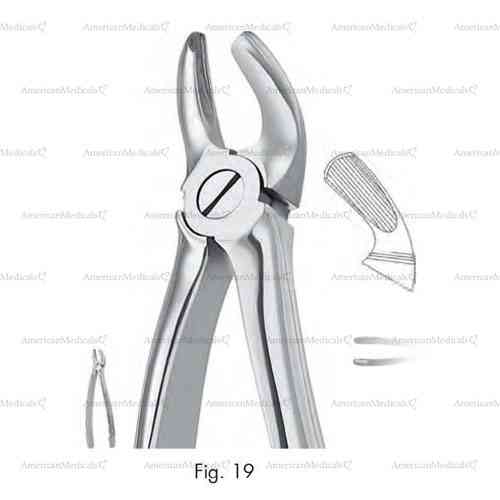 extracting forceps, figure 19 - english pattern