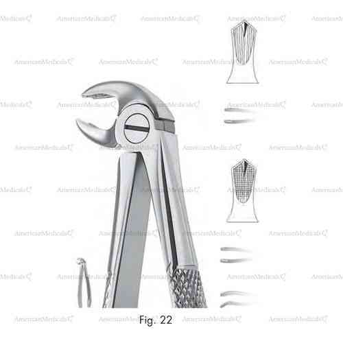 extracting forceps, figure 22 - english pattern