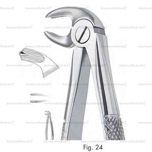 extracting forceps, figure 24 - english pattern