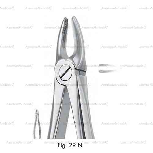 extracting forceps, figure 29n - english pattern