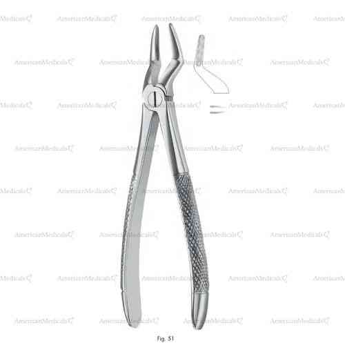 extracting forceps, figure 51 - english pattern