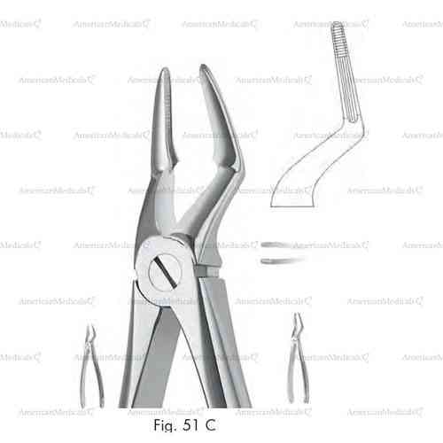 extracting forceps, figure 51c - english pattern