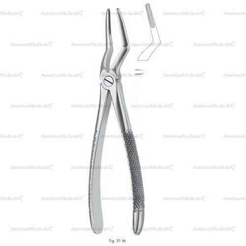 extracting forceps, figure 51m - english pattern
