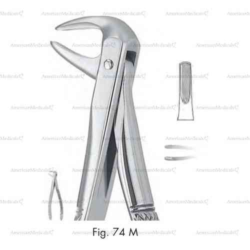 extracting forceps, figure 74m - english pattern