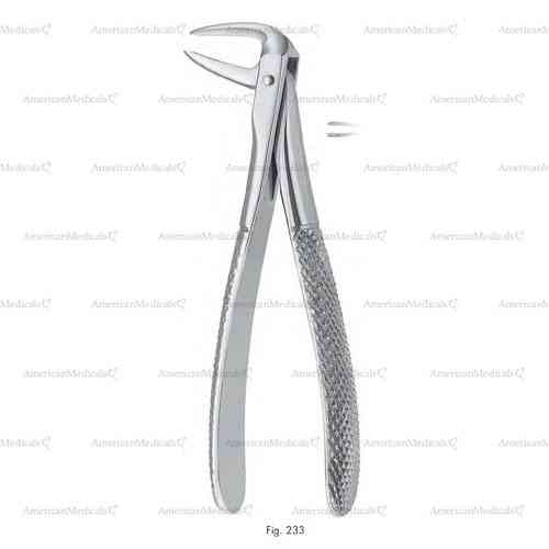 extracting forceps, figure 233 - english pattern