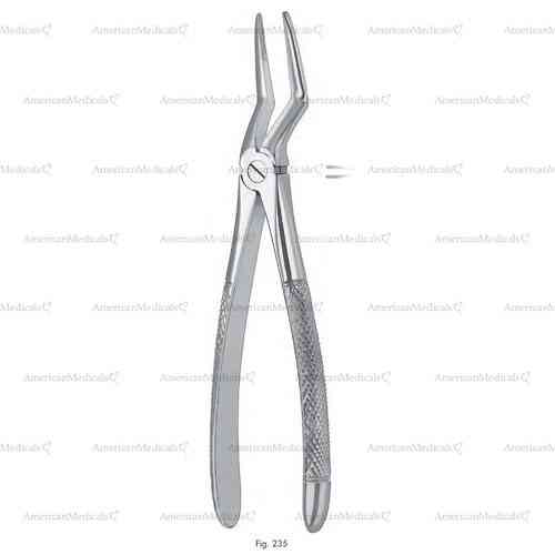 extracting forceps, figure 235 - english pattern