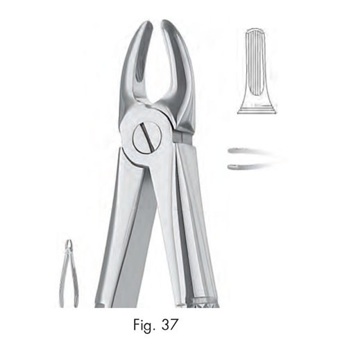 extracting forceps for children, figure 37 - english pattern