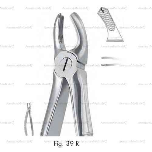 extracting forceps for children, figure 39r - english pattern
