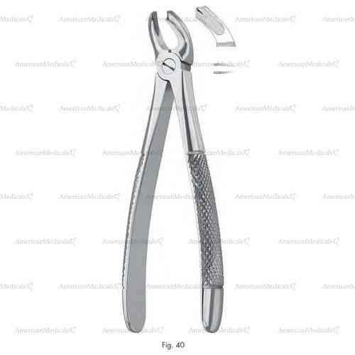 extracting forceps for children, figure 40 - english pattern