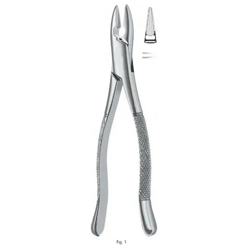 extracting forceps, american pattern - figure 1