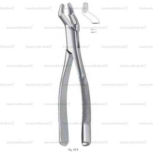 extracting forceps, american pattern - figure 53r