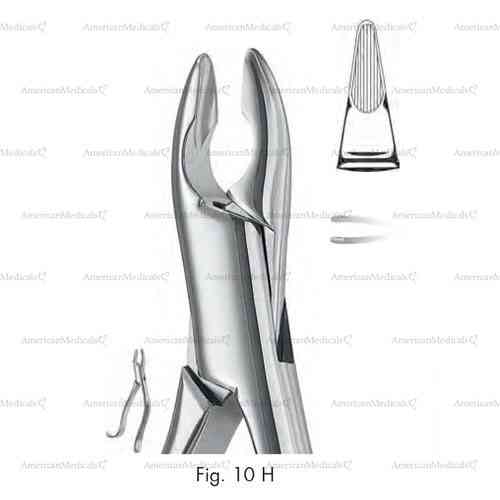 extracting forceps, american pattern - figure 10h