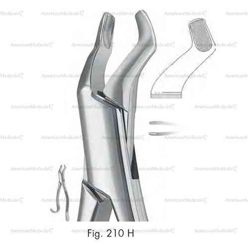 extracting forceps, american pattern - figure 210h