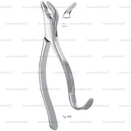 extracting forceps, american pattern - figure 288