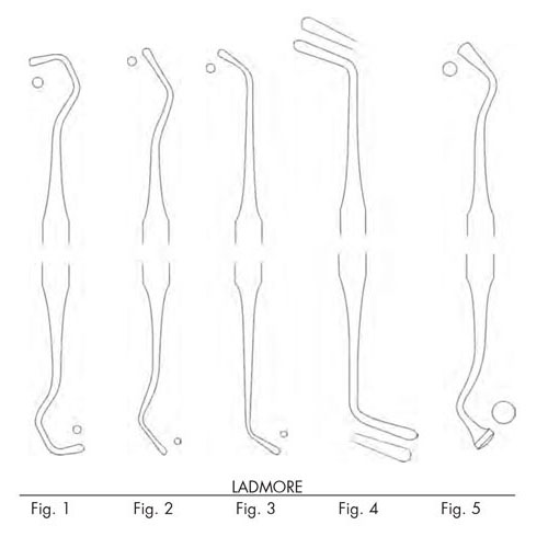 ladmore double ended plastic filling instrument