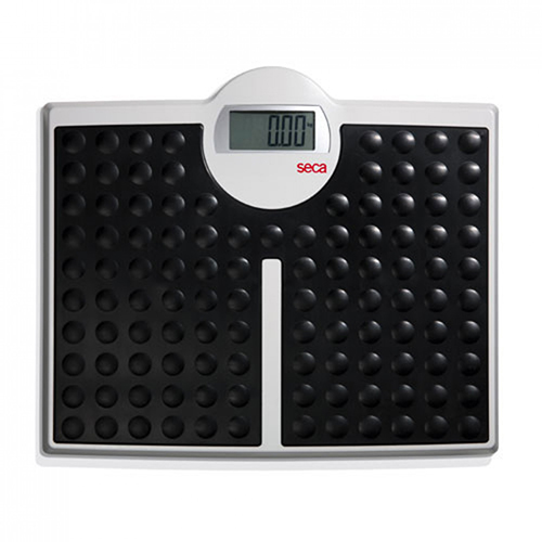 seca 813 high capacity digital flat scale