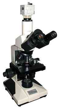 seiler video trinocular microscope