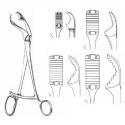 verbrugge self-centering bone holding forceps