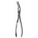 asch septum forceps - straight, 23 cm (9 1/8")