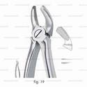 extracting forceps, figure 19 - english pattern