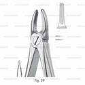 extracting forceps, figure 29 - english pattern