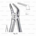 extracting forceps, figure 31 - english pattern