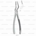 extracting forceps, figure 51m - english pattern
