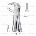 extracting forceps, figure 75 - english pattern