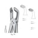 extracting forceps, figure 79 - english pattern