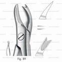 extracting forceps, figure 89 - english pattern