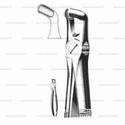 extracting forceps, figure 79a - english pattern