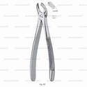extracting forceps for children, figure 40 - english pattern
